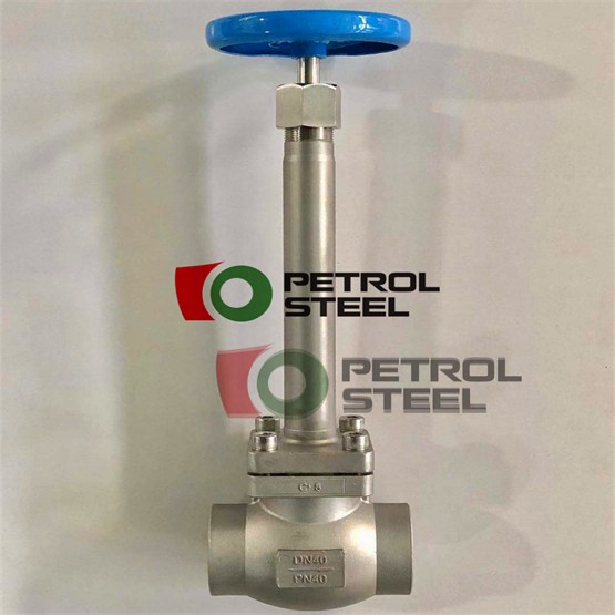 -196°C Cryogenic Globe Valves for LNG & Industrial Gas